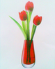 Flower Vase Image